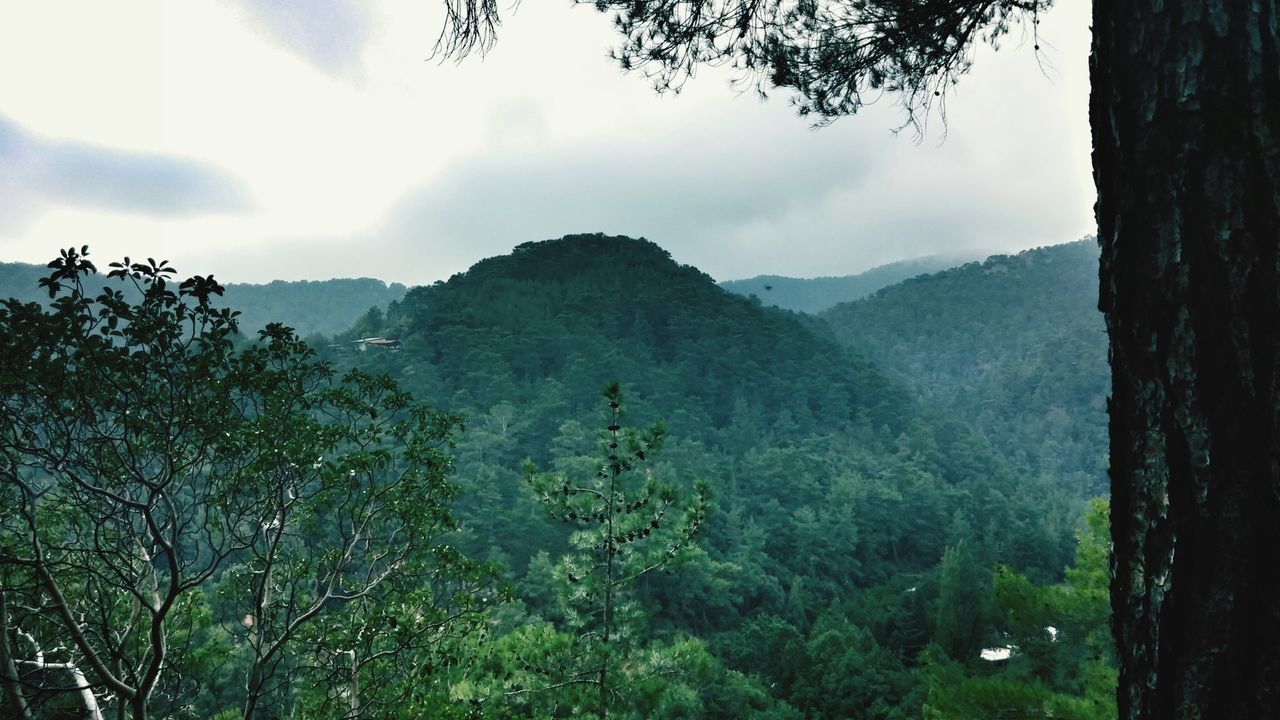 mountain, sky, tranquil scene, tree, tranquility, scenics, beauty in nature, landscape, nature, cloud - sky, growth, mountain range, non-urban scene, cloud, cloudy, plant, green color, idyllic, forest, day