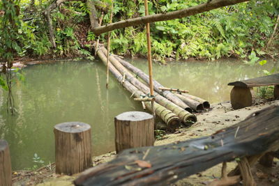 Wooden posts in lake