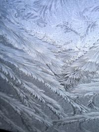 Close-up of snow covered landscape