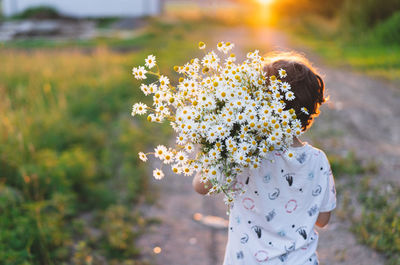 Cute smiling boy at camomile field at sunset in soft sunlight. boy and daisies.