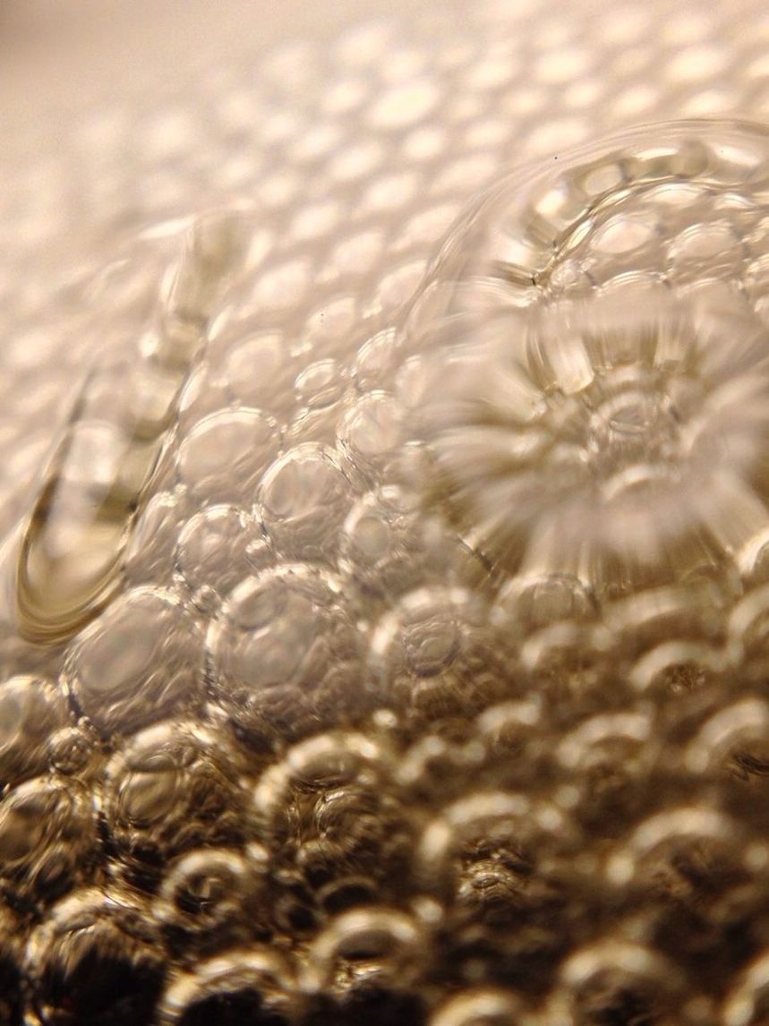 close-up, selective focus, fragility, indoors, nature, freshness, focus on foreground, full frame, no people, water, backgrounds, detail, day, plant, transparent, high angle view, glass - material, beauty in nature, softness, pattern