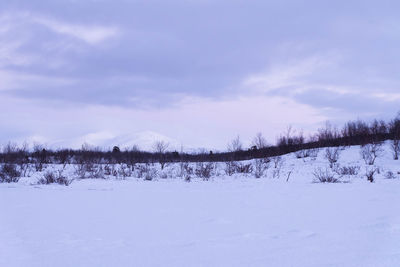 Scenic view of snow covered landscape against sky