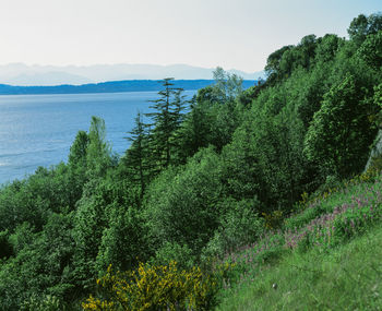 Scenic view of sea against clear sky