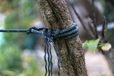 Close-up of rope tied on wooden post