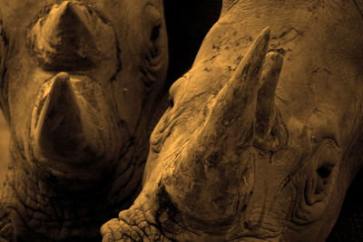 Close-up of sculpture