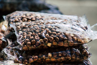 Close-up of crab