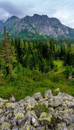 Scenic view of rocky mountains against sky