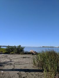 Scenic view of sea against clear blue sky