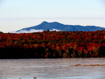 Scenic view of lake by trees against sky