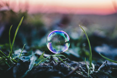 Close-up of bubbles against blurred background