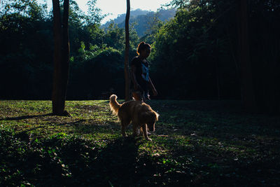 Dog standing on field in forest