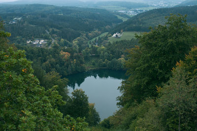 High angle view of trees and plants