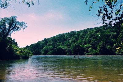 Reflection of trees in lake