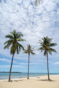 Palm trees on beach against sky