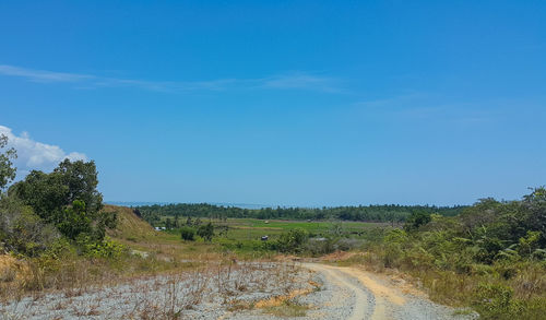 Road amidst trees against blue sky