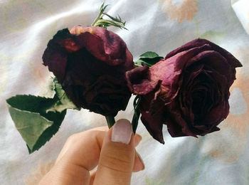 Close-up of hand holding rose bouquet