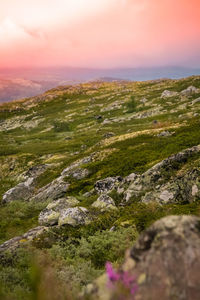 Scenic view of landscape against sky during sunset