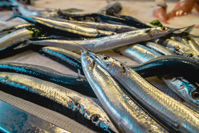 Close-up of fish for sale in market