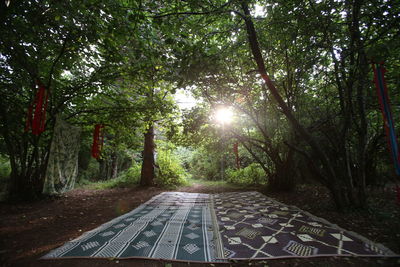 Empty road amidst trees in forest