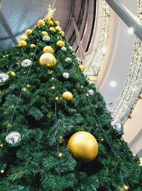 Close-up of christmas decoration hanging on tree