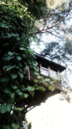 Low angle view of house and trees against sky