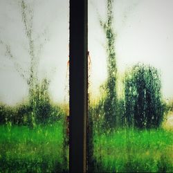 Close-up of wet window in rainy season