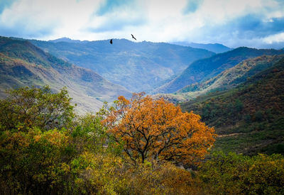 Scenic view of mountain range against sky