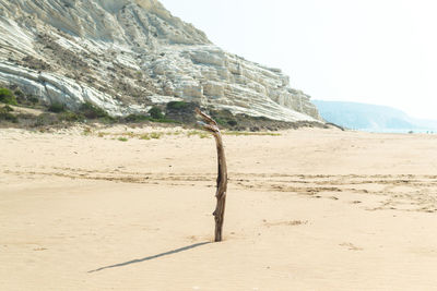 Scenic view of desert against clear sky