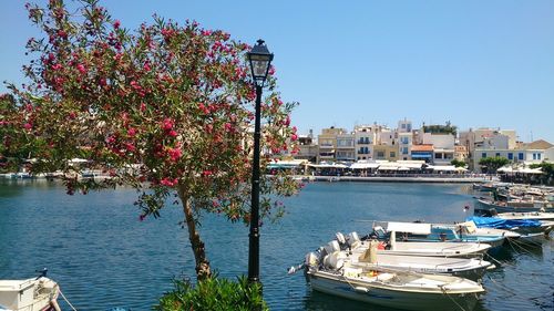 Scenic view of river by city against clear sky