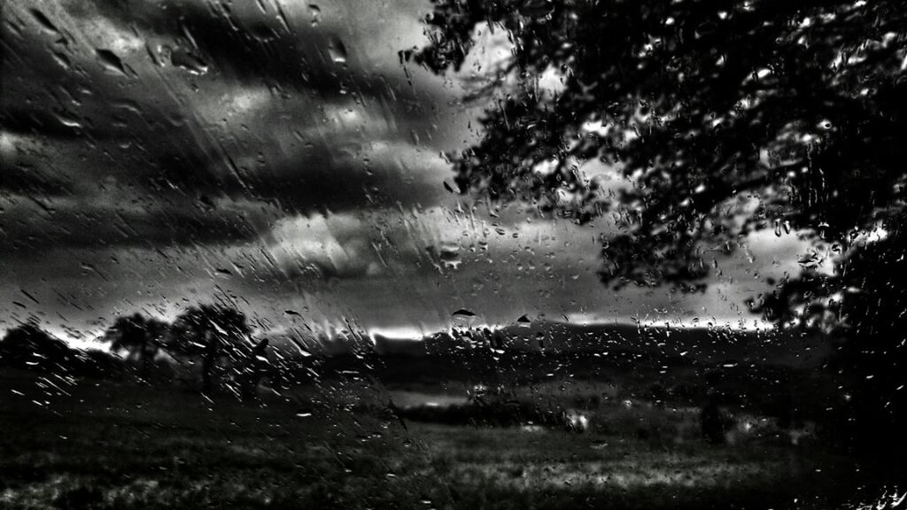 drop, wet, rain, water, sky, weather, raindrop, transparent, window, tree, glass - material, nature, cloud - sky, indoors, focus on foreground, season, beauty in nature, dusk, no people, tranquility