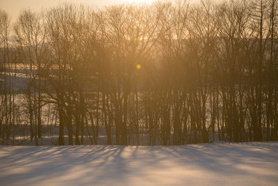 Scenic view of frozen lake during winter