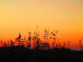 Silhouette plants on field against orange sky