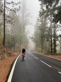 Cycling in teide national park