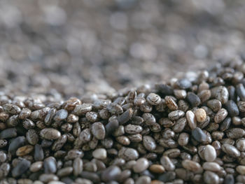 Close-up of chia seeds