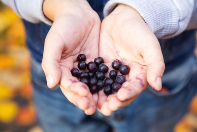 Midsection of man holding fruits