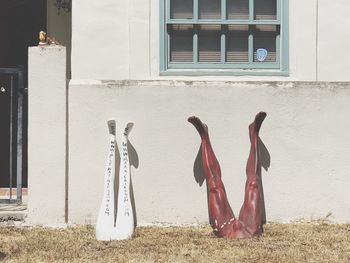 Clothes hanging on wall of building