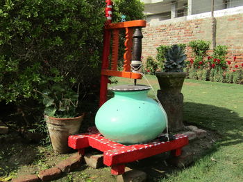 Potted plants in garden