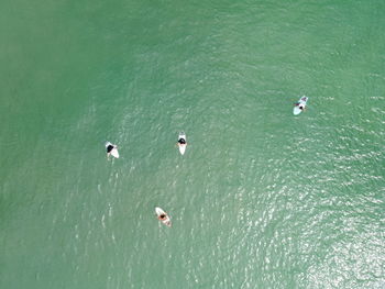 High angle view of surfers on the ocean waiting for wave