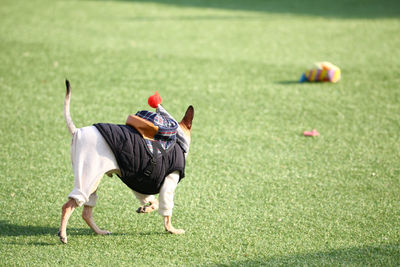 Man playing with ball on grass