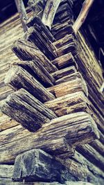 Close-up of tree trunk