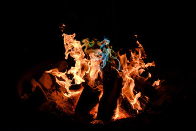 Burning bonfire with copy space on black background
