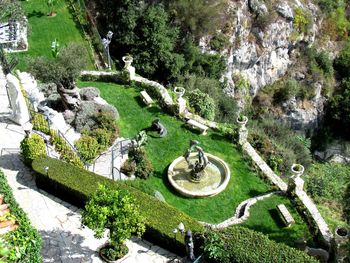 High angle view of rocks by trees