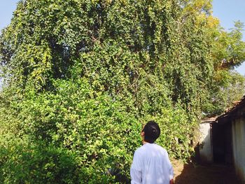 Woman standing on tree trunk