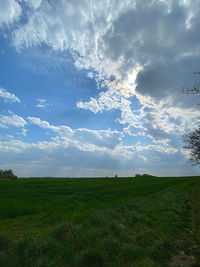 Scenic view of field against sky