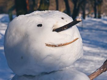 Close-up of snow sculpture