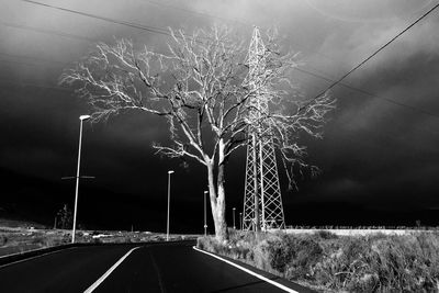 Road along trees at night