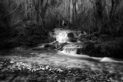 Scenic view of waterfall in forest