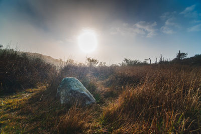 Scenic view of field against bright sun