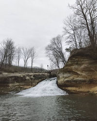 Bare trees in river