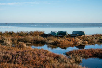 Valli di comacchio, barche di legno